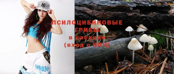 хмурый Белоозёрский