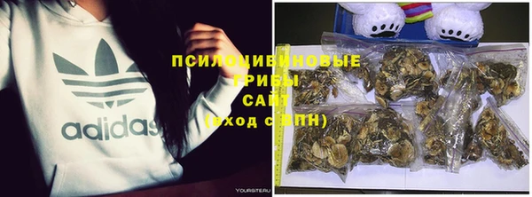 2c-b Белокуриха
